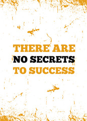 Wall Mural - There are no secrets to success Motivational Quote poster for wall