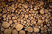 Wood Logs Stock Background Texture