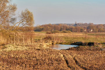 Spring in nature. A bright sunny day on a rustic landscape. Outdoor recreation. Lake on the meadow.