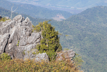 landscape view of Doi Pha Tang mountain with Mekong river in afternoon Chiang Rai, Thailand.