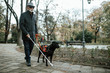 Guide dog helping blind man in park.