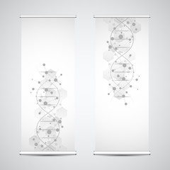 Wall Mural - roll up banner stands with dna strand and molecular structure. genetic engineering or laboratory res