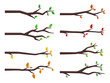 Vector set of tree branches in flat design style