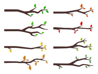 vector set of tree branches in flat design style