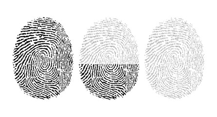 Vector fingerprint consisting of binary code
