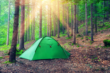 green tent in forest