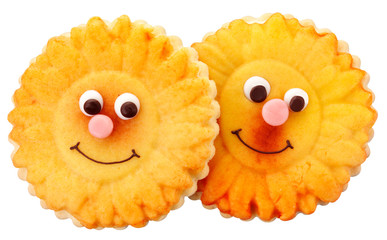 Canvas Print - SUNFLOWER FACE BISCUITS CUT OUT