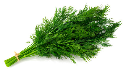 bunch fresh green dill isolated on white background