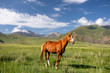Landschaft bei Tuura Suu in Kirgistan