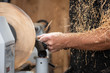 sawdust shavings of wood turnery while making a handcrafted bowl