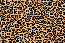 Print Leopard Pattern Texture Repeating Seamless Orange Black