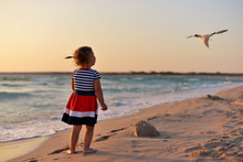 The Little Girl Stands Barefoot On The Wet Sand On The Beach At Sunset And Looks At The Flying Seagull.