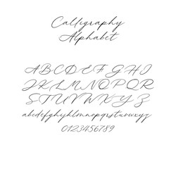 Wall Mural - Hand drawn typeface set isolated on white. Brush painted characters: lowercase and uppercase. Vector font. Typography alphabet for your designs: branding, card, wedding invitation. Modern calligraphy