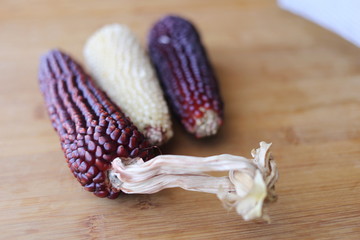 Сorn on the table. Autumn harvest