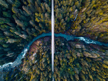 High Aerial Drone View Of An Abandoned Bridge Running Through The Dense Forest Of The Pacific Northwest