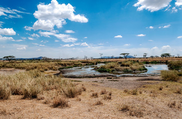 Wall Mural - Ngorogoro Valley in Tanzania