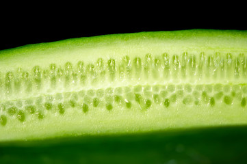 Fresh organic cucumbers on wood