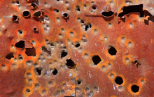 Bullet Holes In Rustic Rusty Car Door Background