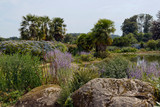 Fototapeta Natura - Garden of the Blue Spring in Botanical Park of Upper Brittany