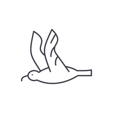 Gull Line Icon Concept. Gull Vector Linear Illustration, Sign, Symbol