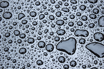 Wall Mural - Water drops on black background