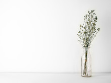 Bouquet Of Dried And Wilted Green Gypsophila Flowers In Glass Bottle On White Floor And Background With Copy Space