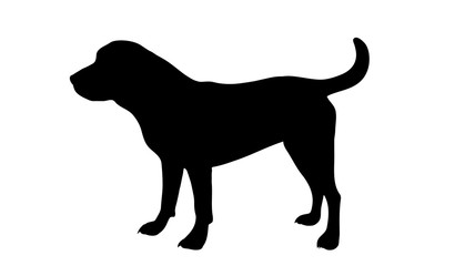 Sticker - Vector silhouette of dog on white background.