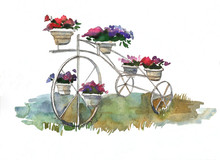 Three-wheeled Retro Bicycle With Flower Pots In Landscape Design On A White Background. Hand-drawn Watercolor Illustration
