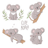 Fototapeta Pokój dzieciecy - Cute koala illustration, vector set.