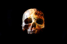Head Skull In Flame On Dark Black Background.