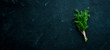 Fresh green dill. On a black stone background. Top view. Free copy space.