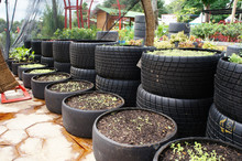 Plant Planter Box Is Made From Used F1 Racing Car Tires. Used Directly Or Stacked With Each Other Based On The Size Of The Planted Tree.