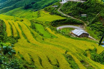 Wall Mural - Sapa VietNam 2012