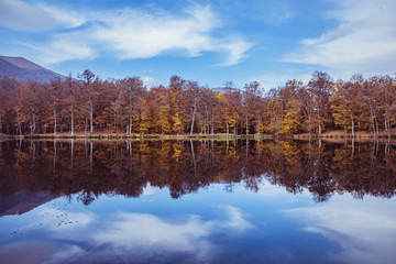 Canvas Print - Lake