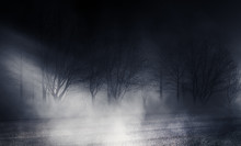 Background Of Empty Street At Night. Asphalt, Autumn Trees, Moonlight, Reflection, Smoke, Fog