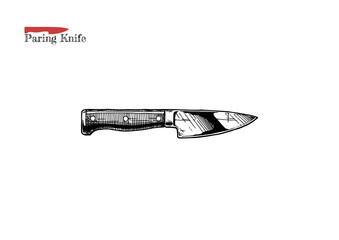 Wall Mural - illustration of paring knife