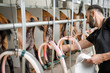 © rh2010 - Man inserting nipples of the milking machine during the milking process at the goat farm