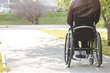© xartproduction - A young man in a wheelchair rides along the park road.