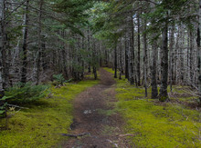 Burnt Hill Trail Newfoundland Canada