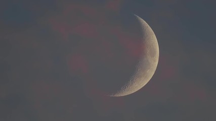 Wall Mural - moon detailed closeup