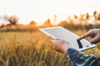 © joyfotoliakid - Smart farming Agricultural technology and organic agriculture Woman using the research tablet and studying the development of rice varieties in rice field