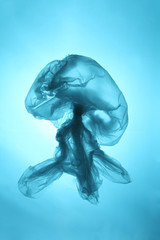 Poster - Marine debris, ocean pollution. Plastic bags are killing the world. Used plastic bag in the form of a jellyfish.