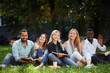 © alfa27 - group of young students sitting together on green lawn high school university campus