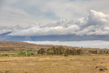 Canvas Print - Irland