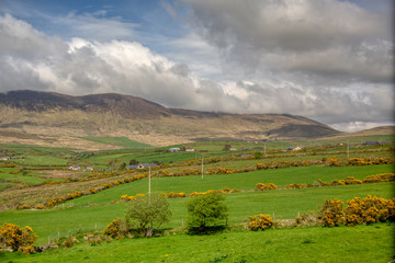 Wall Mural - Irland