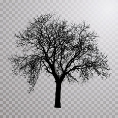 tree 3195