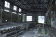 © bisonov - interior of an old abandoned military building