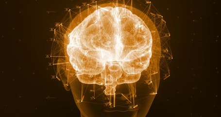 3D zoom render of a holographic digital style human brain conveying the idea of artificial intelligence, bio hacking and the fusion of nature and technology