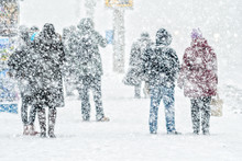 People On Bus Stop In Snowfall