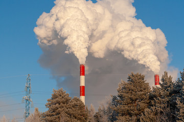 White thick smoke from high pipes of thermal power station. White steam against the blue sky on a frosty winter day.